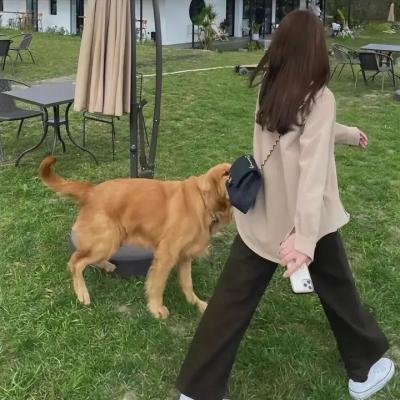 麒麟之翼